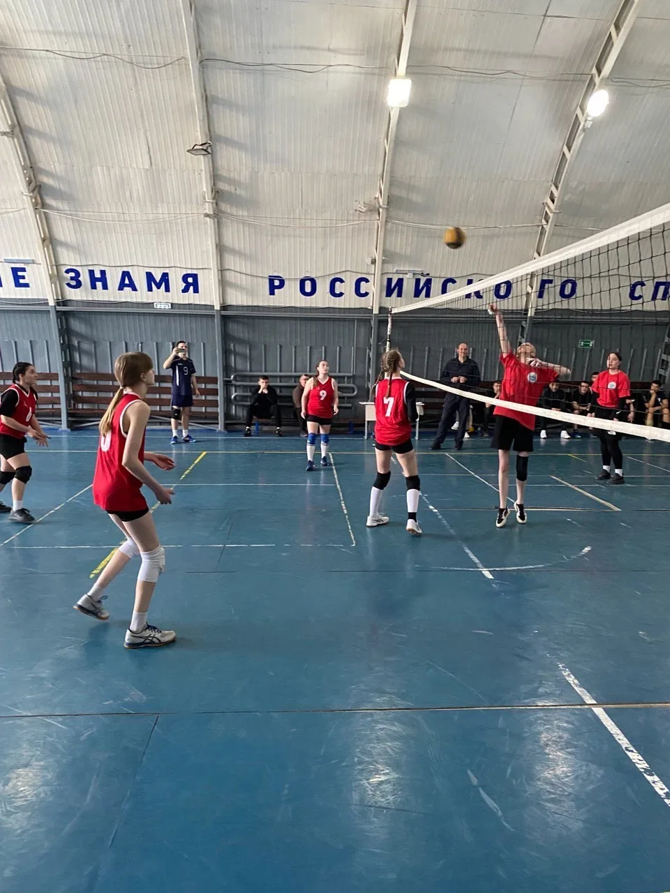 ​Спартакиада студенческих спортивных лиг: успехи волейбольной команды из Апшеронского лесхоз-техникума!