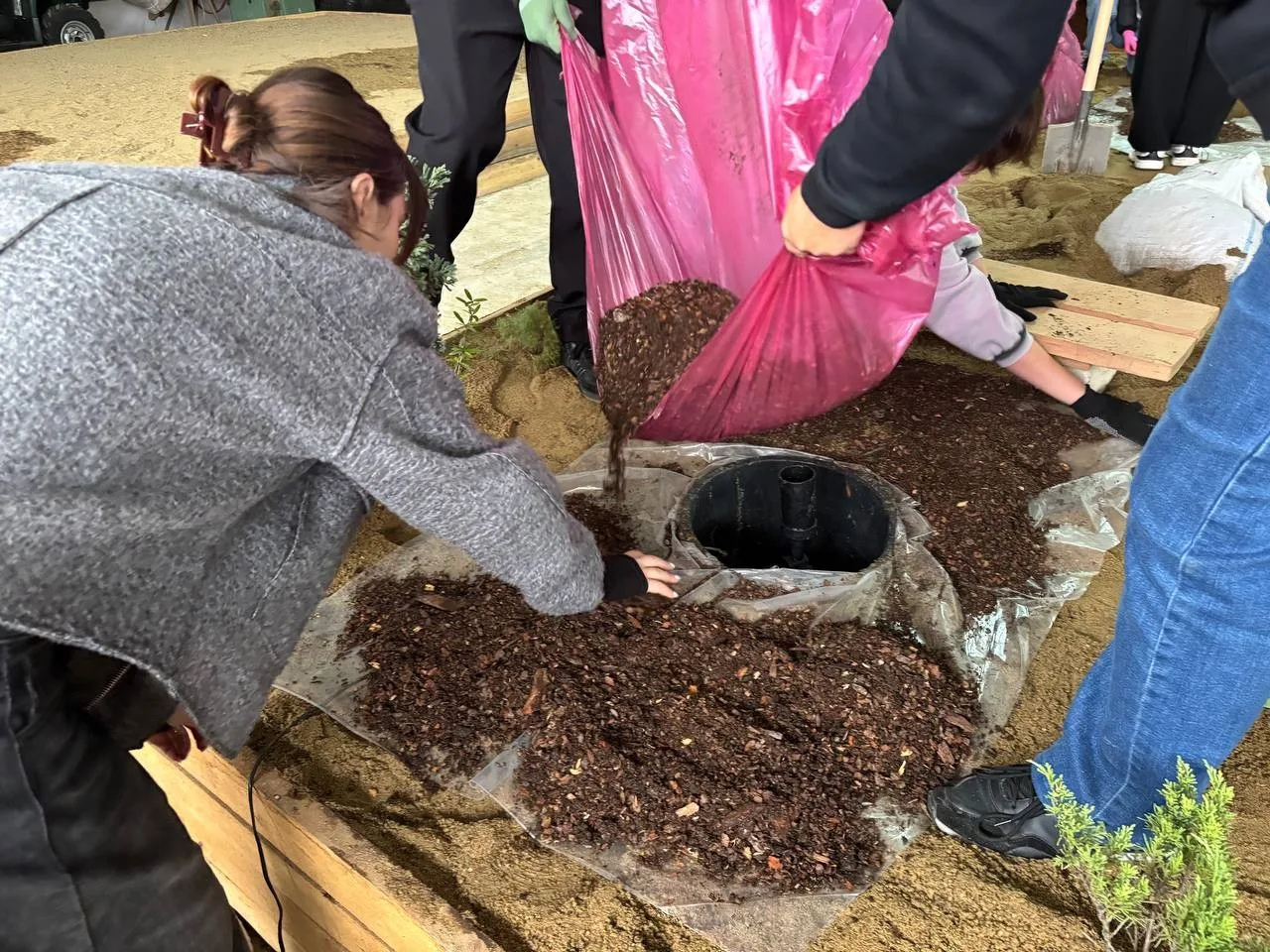 Старт проекта "Билет в будущее"